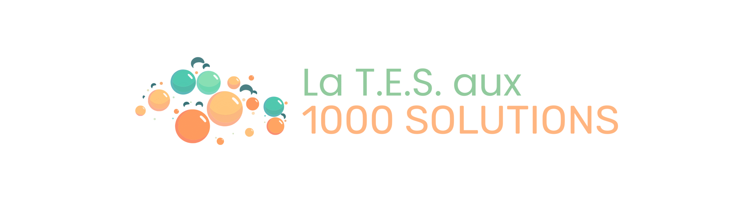 La T.E.S aux 1000 Solutions